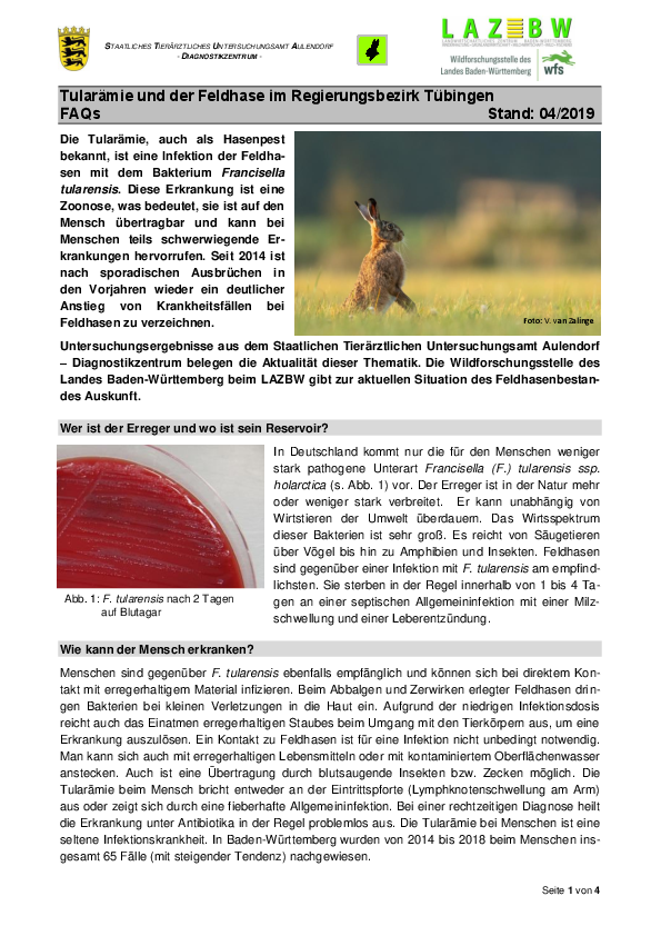 pdf-preview